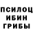 Галлюциногенные грибы Cubensis Cantl