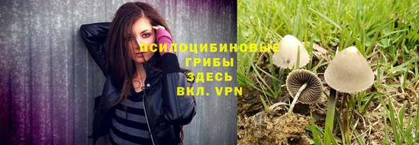 ALPHA-PVP Майский
