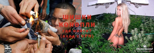 дистиллят марихуана Магас