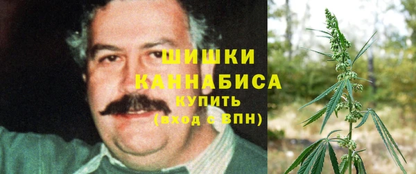 mdpv Медвежьегорск